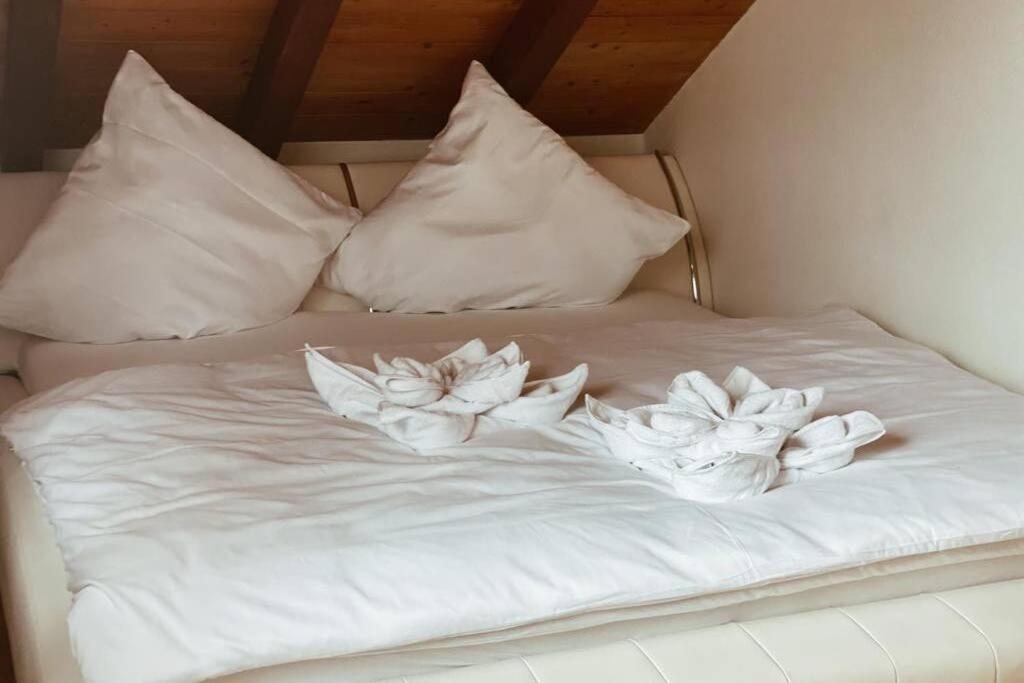 *Dreilaendereck* Wifi+ Balkon+Garage Basel Mulhouse Apartamento Maulburg Exterior foto